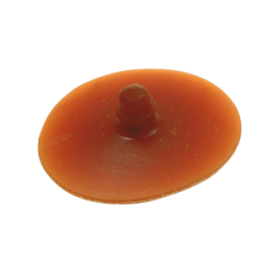 Membrane in para