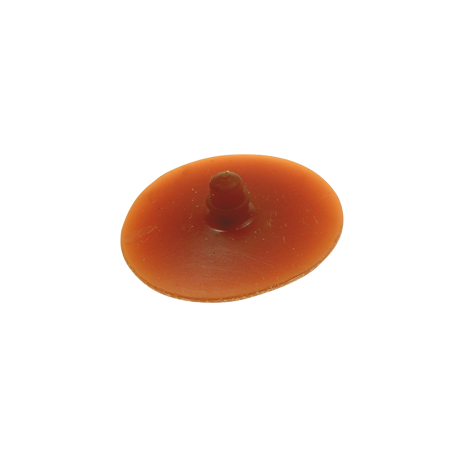 Membrane in para