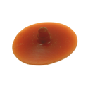 Membrane in para