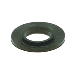 Membrane in para