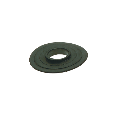 Membrane in para