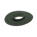 Membrane in para