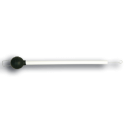 Asta