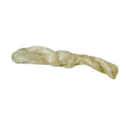 Canapa
